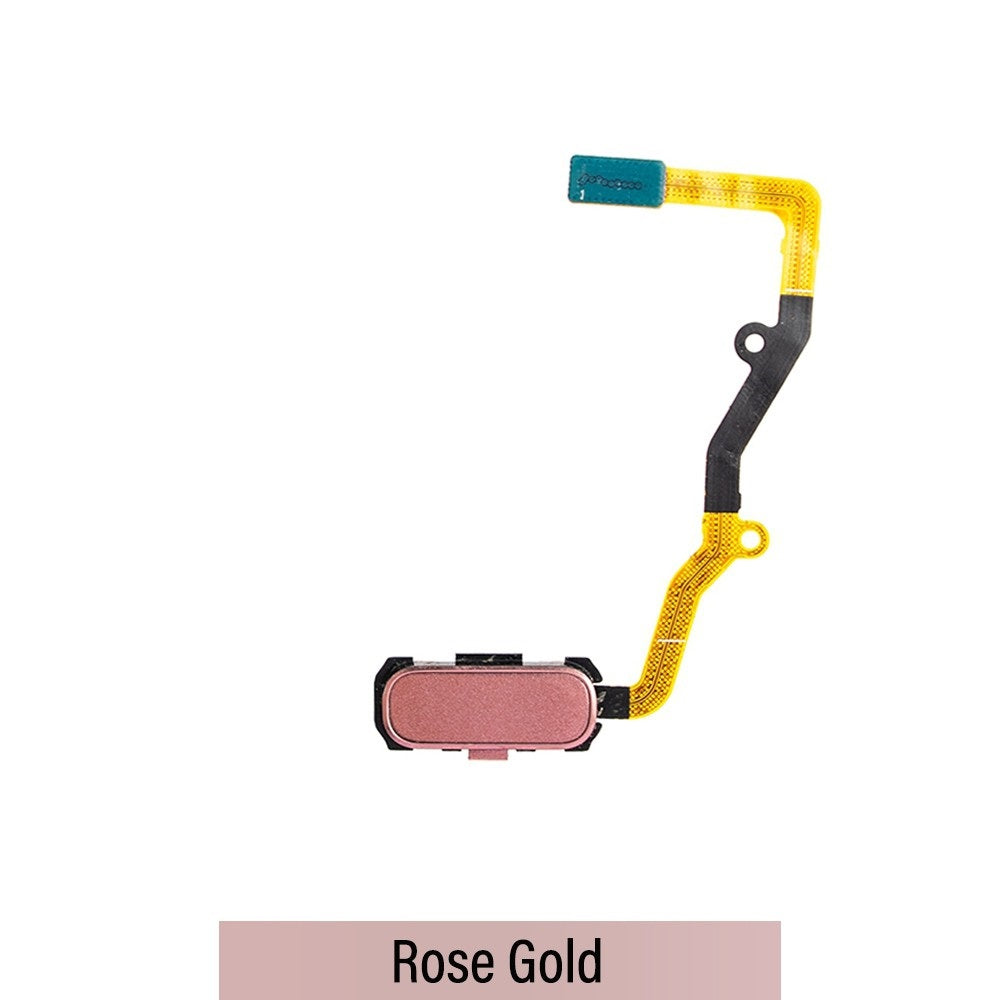 Home Button Flex Cable with Touch ID for Samsung Galaxy S7 Edge G935F (Purple)-Rose Gold Home Button Flex Cable with Touch ID for Samsung Galaxy S7 Edge G935F (Purple)-Rose Gold